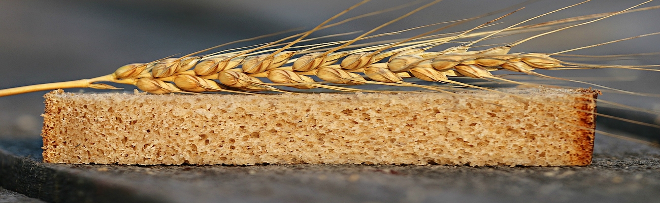 Día Mundial del Pan: Alimento Global