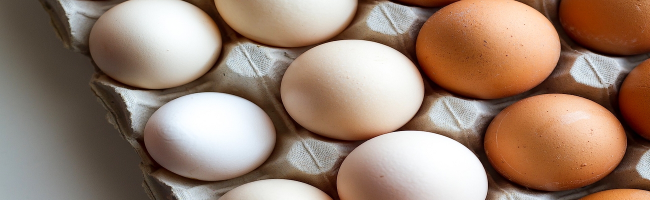 Huevos; Aliados en Meses de Pandemia