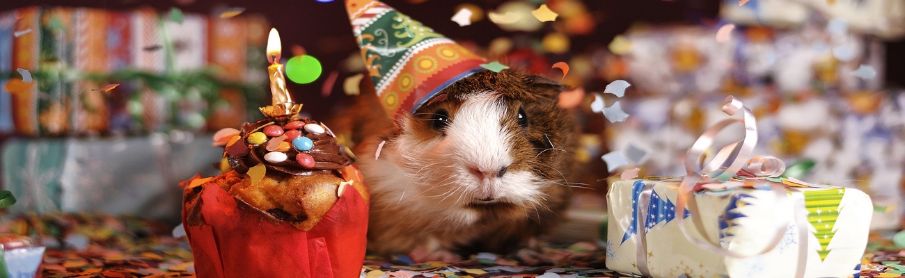 Repostería para Mascotas