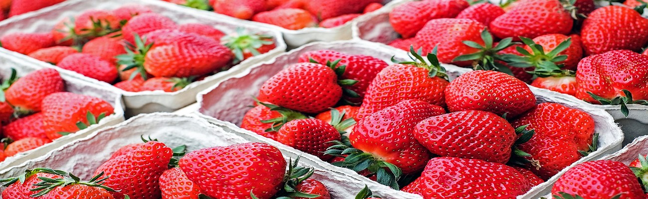 La Frutilla Chilena: Noticia Mundial