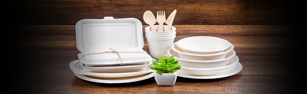 Bakery Verde: Vajilla que se Descompone