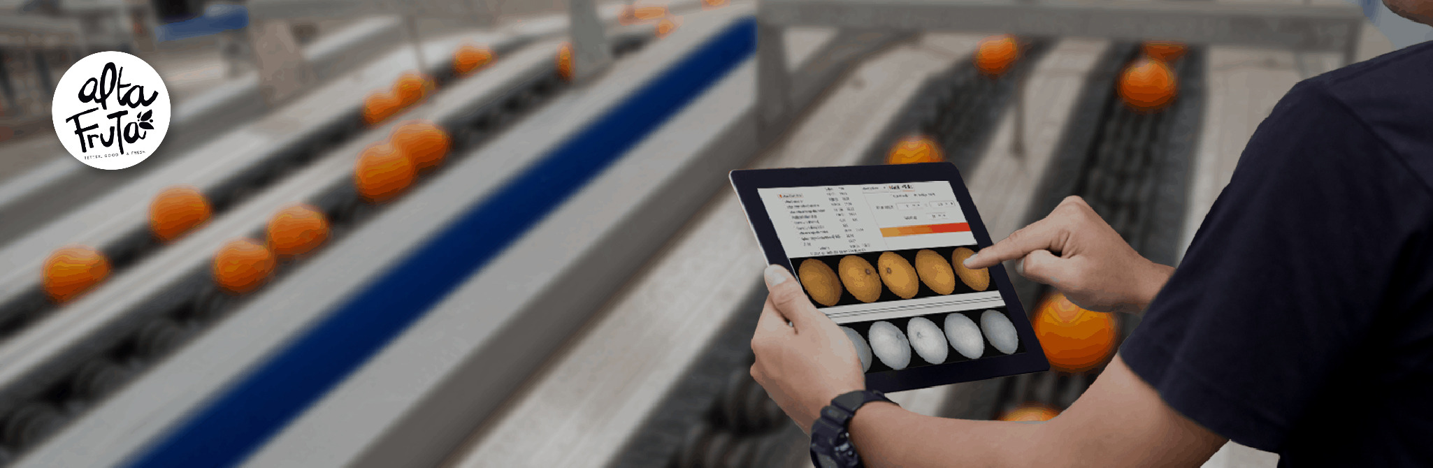 Las distintas instancias que debemos considerar al momento de controlar nuestros procesos alimentarios