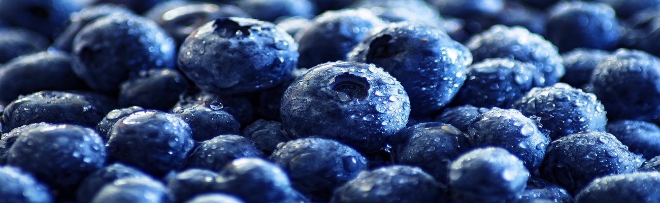 Arándanos Chilenos se ganan el Corazón de Norteamérica