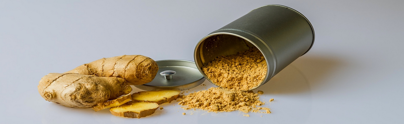 El Bakery y sus Próximas Tendencias