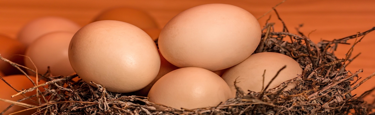 Colina del Huevo; Nutriente del que se comienza a hablar