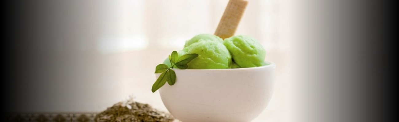 Yerba Mate: Sus nuevos usos en el Bakery