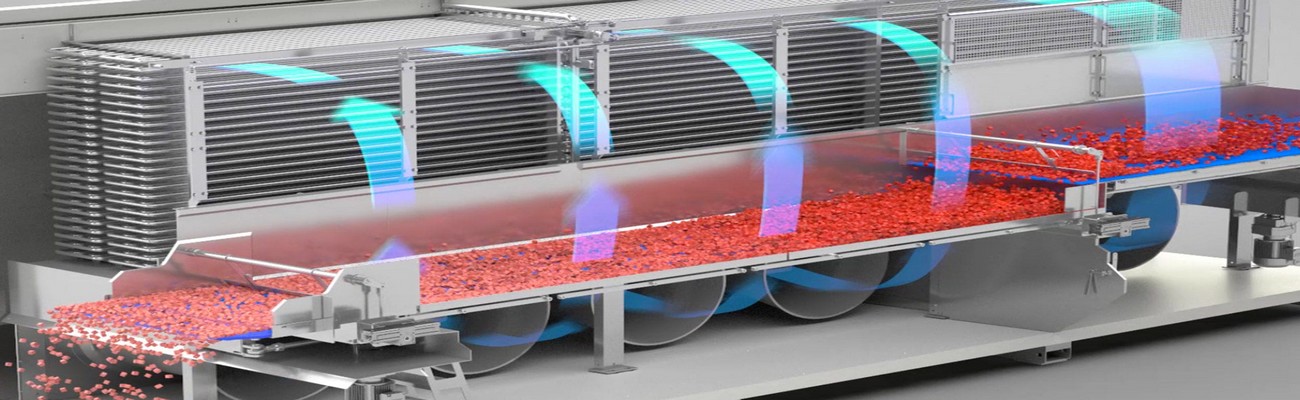 Productos sin Azúcar y Congelado Rápido