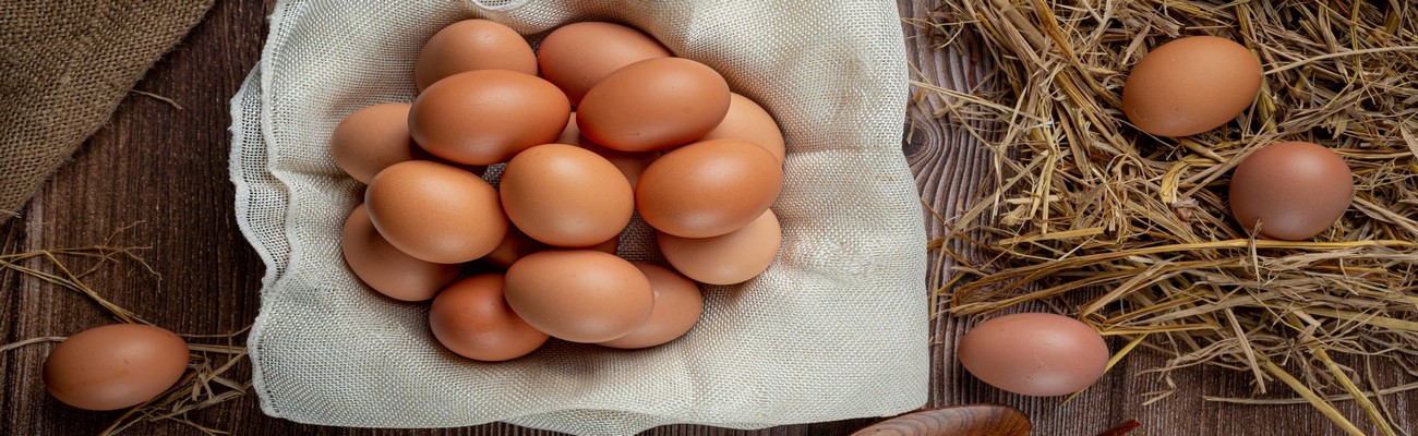 Aumenta Sostenidamente el Consumo de Huevos en Chile