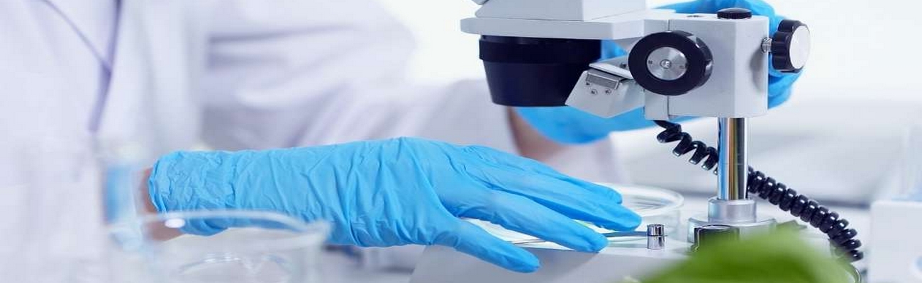 FoodTech: Importante aumento en Inversiones