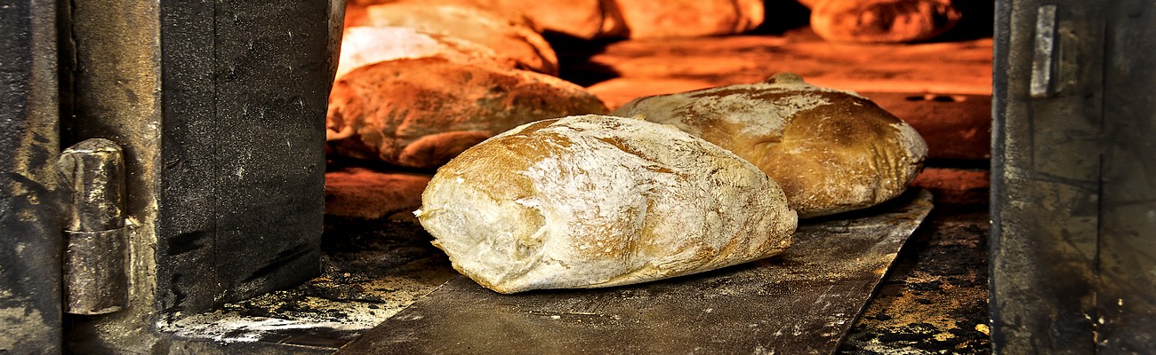 Reflexiones entre Panes