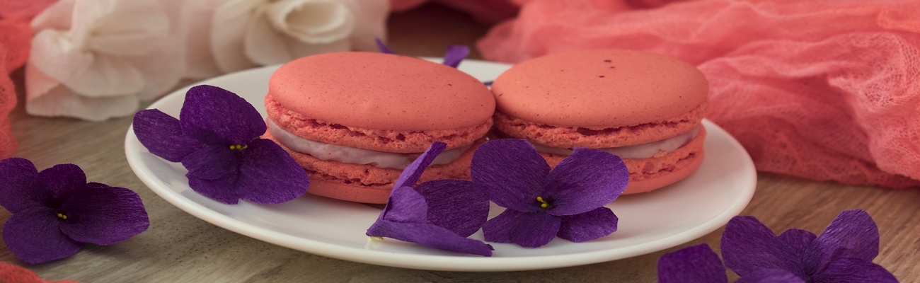 El Color del 2022: Rosa Radiante