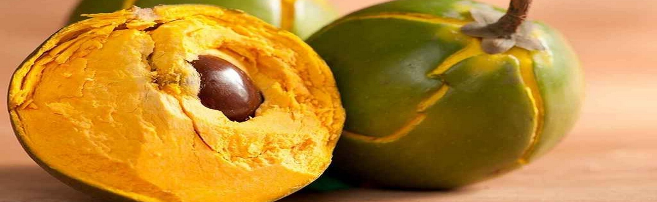Lúcuma; súperfruta andina que espera su momento estelar