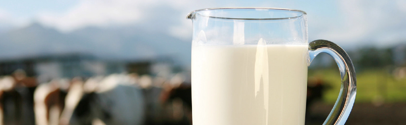 La Leche se ha revalorizado en tiempos de pandemia