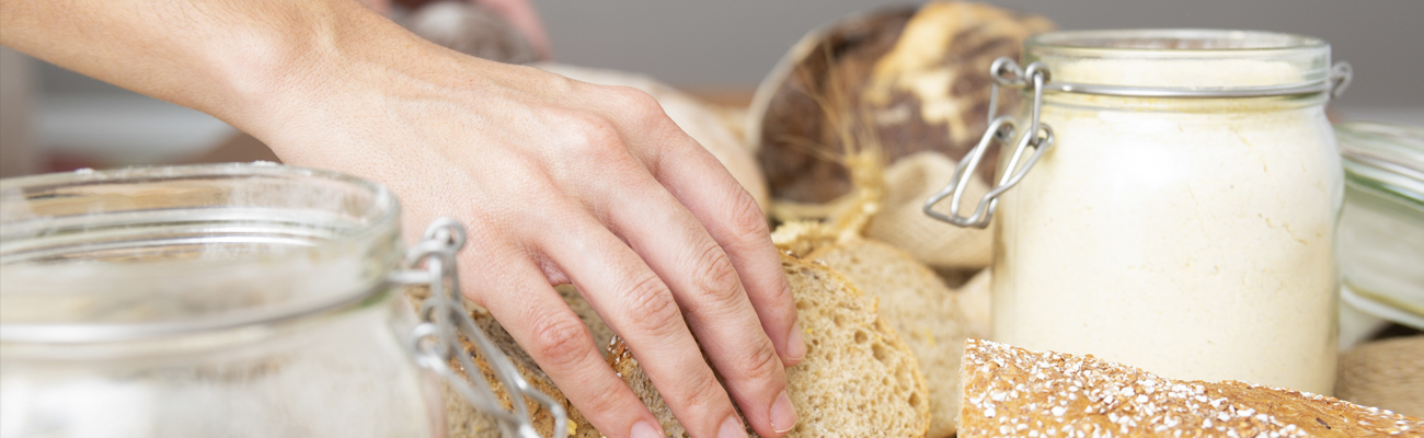 Hablemos de Masa Madre, fermentación y del volumen del pan