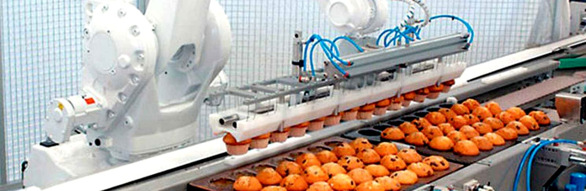 Nanotecnología: Apoyo a Futuro para el Bakery