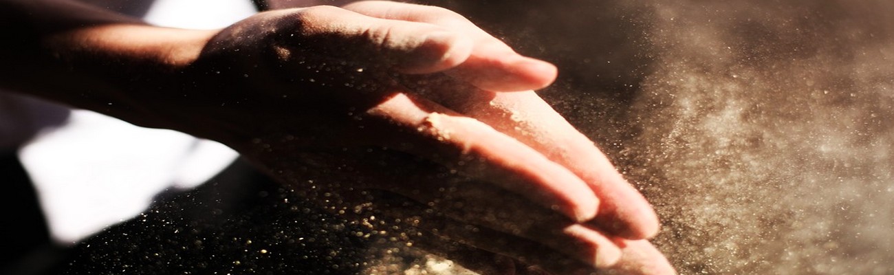 Hablemos de Harinas Panaderas