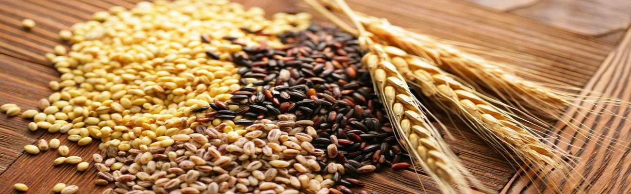 ¡El Bakery crece en el Mundo!