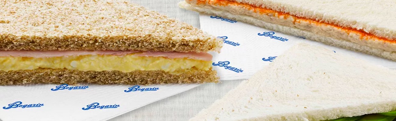 Bogarín llegó a Santiago