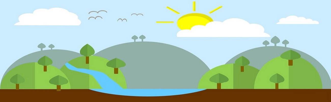 Tendencia Empresas B en el Bakery local