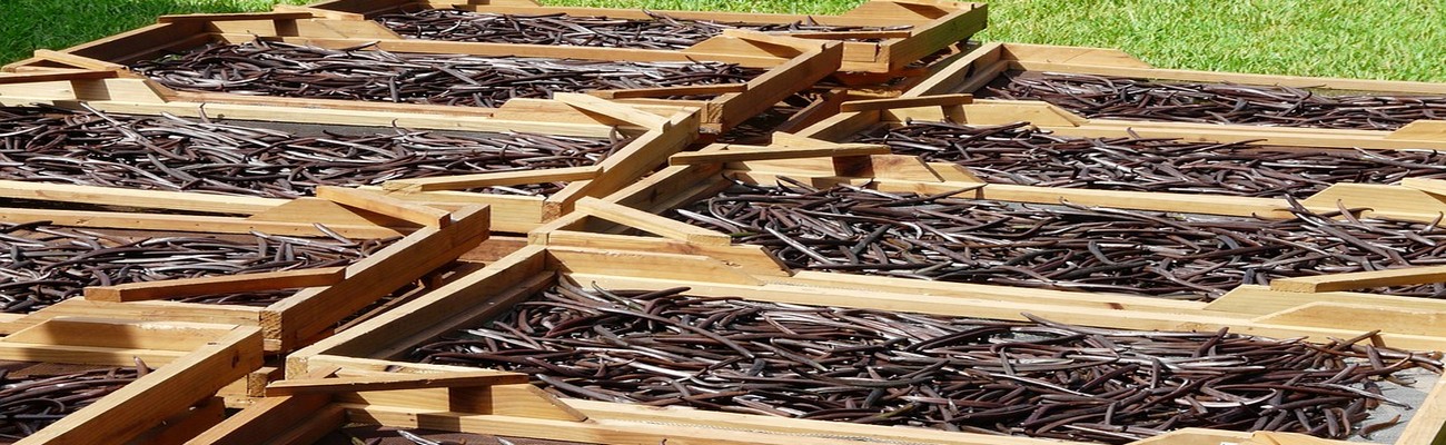 Disponibilidad de Ingredientes Clave