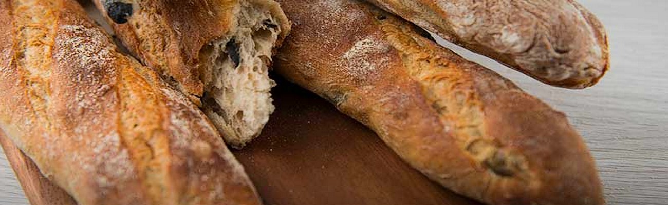 Tendencias Globales: Masa Madre en Polvo