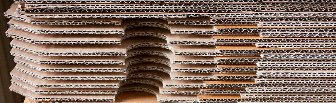 El Packaging del Futuro