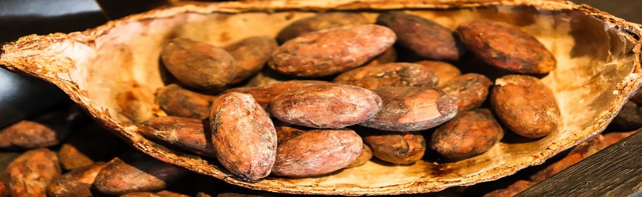 Chocolates: Del Grano a la Barra