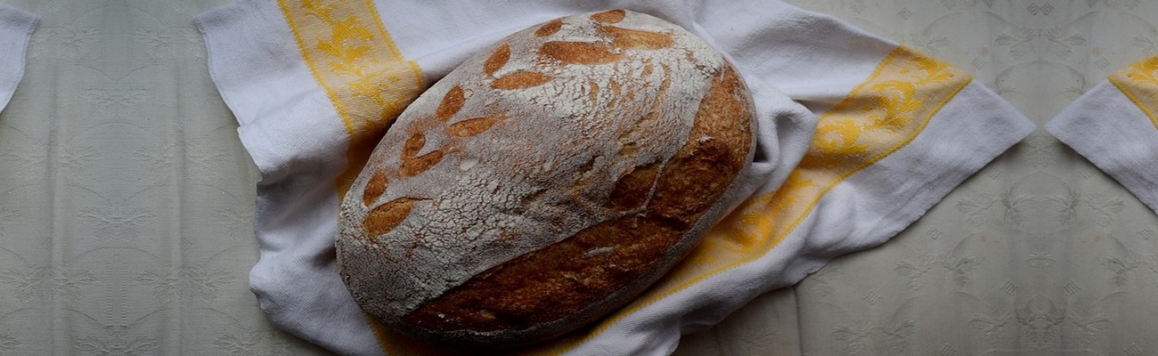 Panadería: La Revolución es Retroceder