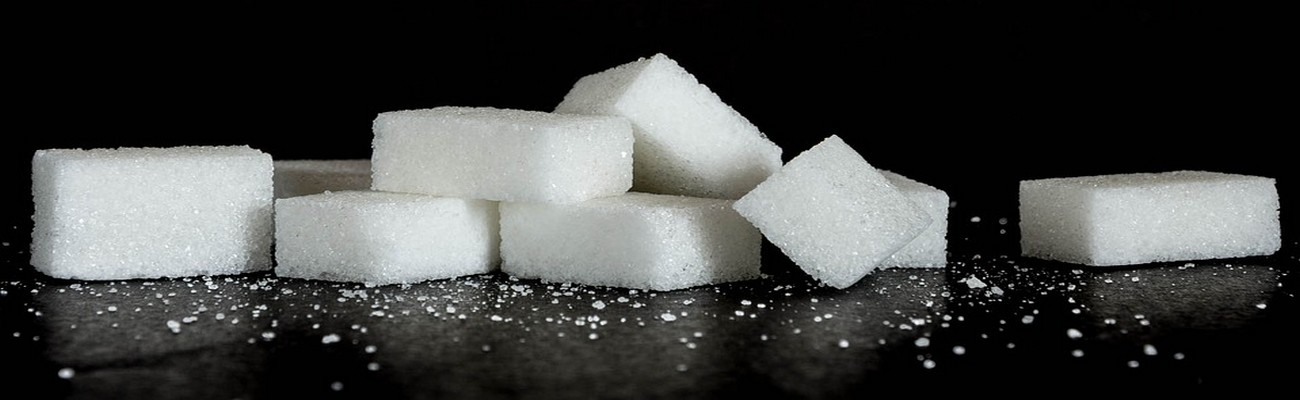 Xilinat: Nuevo Sustituto del Azúcar que promete