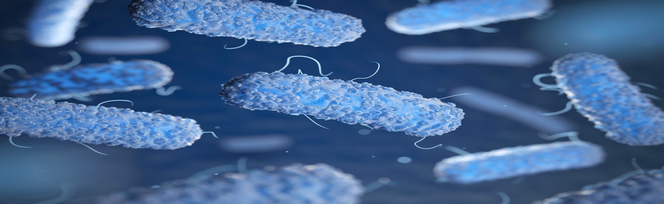 La Listeria Amenaza al Bakery en España