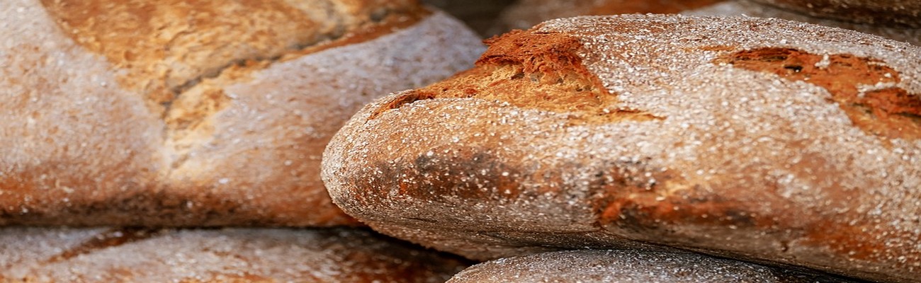 Reaprender a Disfrutar del Buen Pan