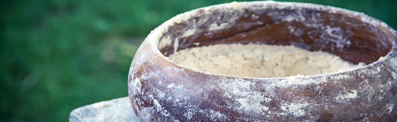 La Ancestral Levadura Egipcia