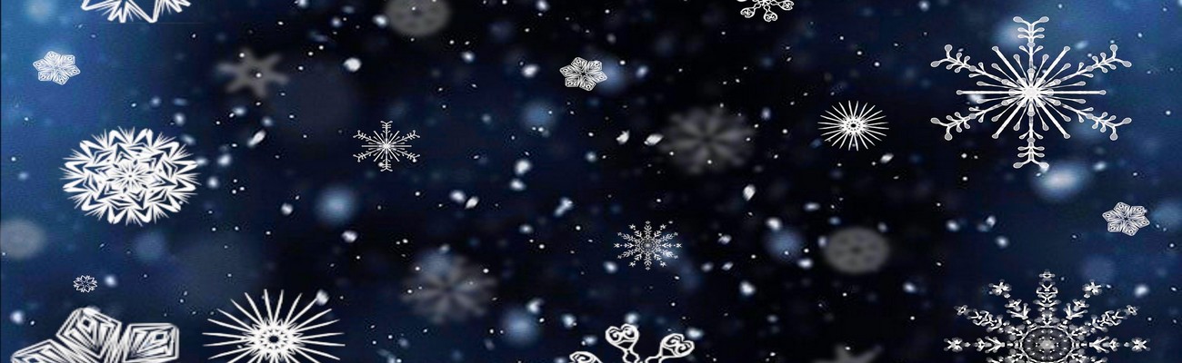 Novedades en la Cadena de Frío del Bakery