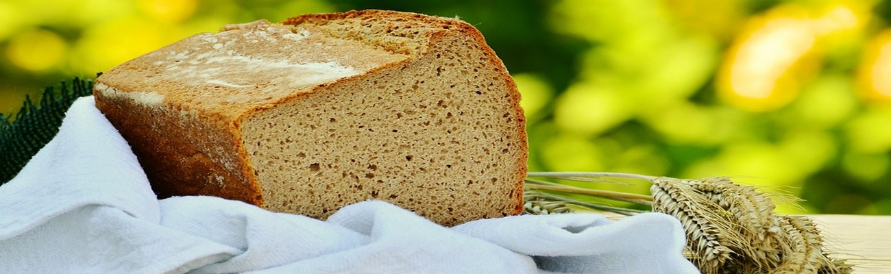 Panaderías de Latinoamérica: Cifras y Directrices