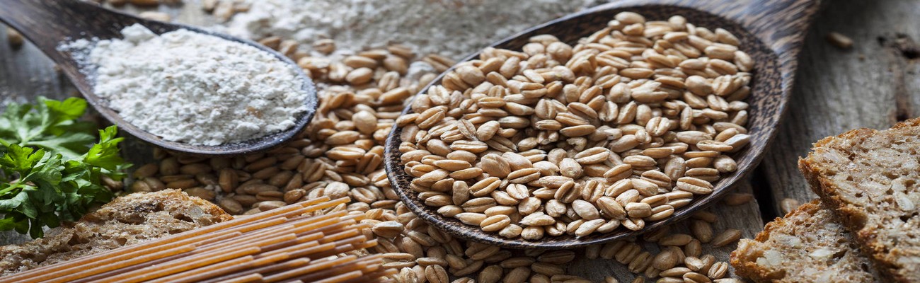 Predicciones para el Bakery: Lo que Viene, lo que Llega