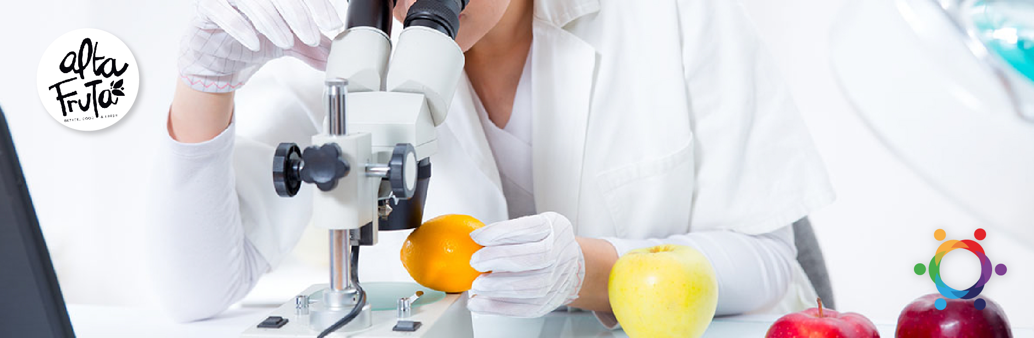 Seguridad Alimentaria: Certificaciones Internacionales en la industria de alimentos (Parte I)