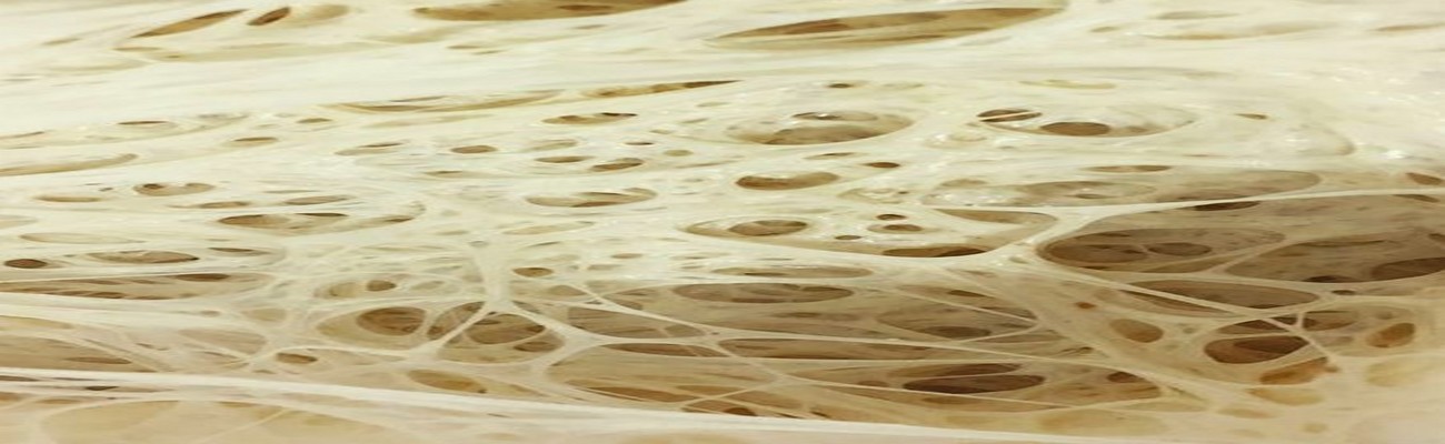 Malla Glutínica: El Amasado Perfecto