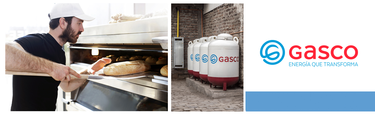 Ventajas Económicas de GLP vs. Combustibles Contaminantes