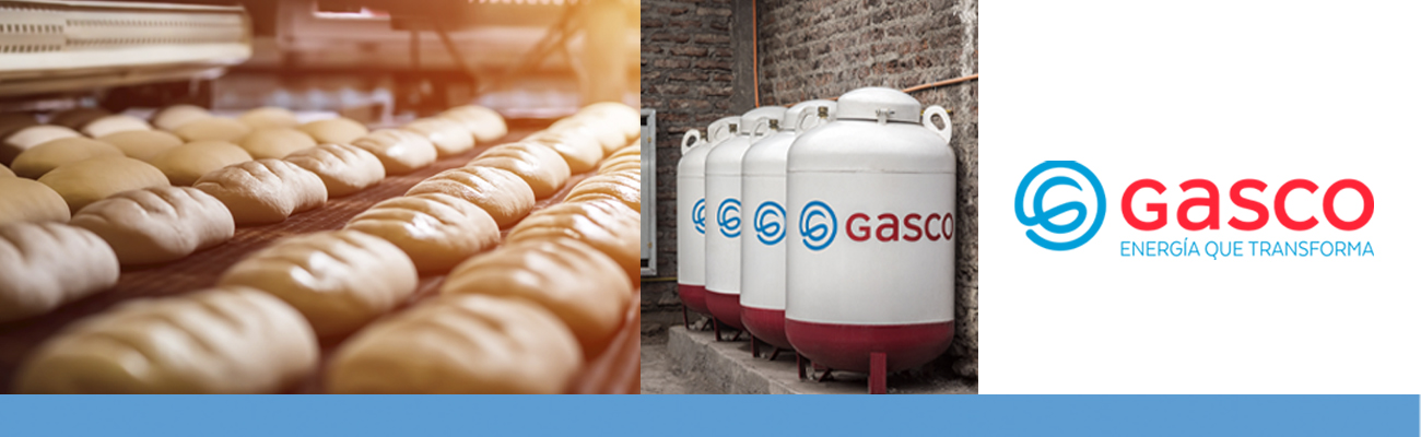 Beneficios de Seguridad de GLP vs. Combustibles Contaminantes