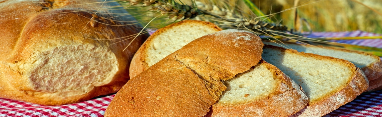 El Pan de los Abuelos, el de nuestra Niñez, el de Hoy