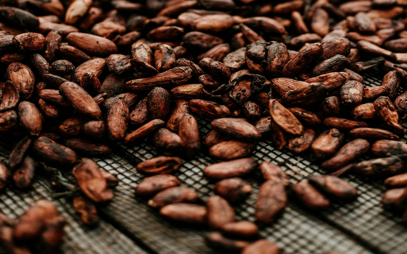 El Cacao registra Valor Récord