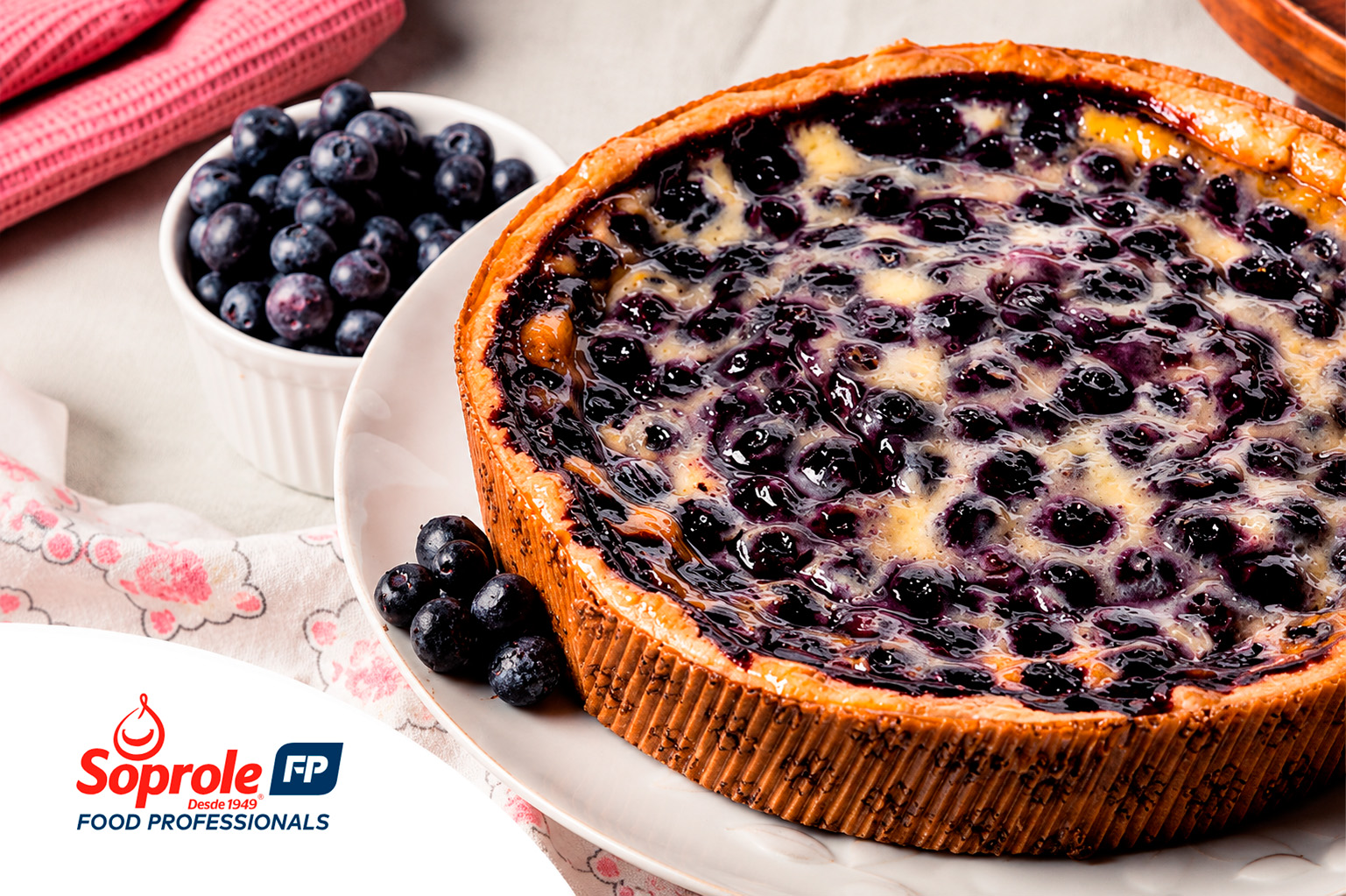 Kuchen De Ricota Con Arándanos